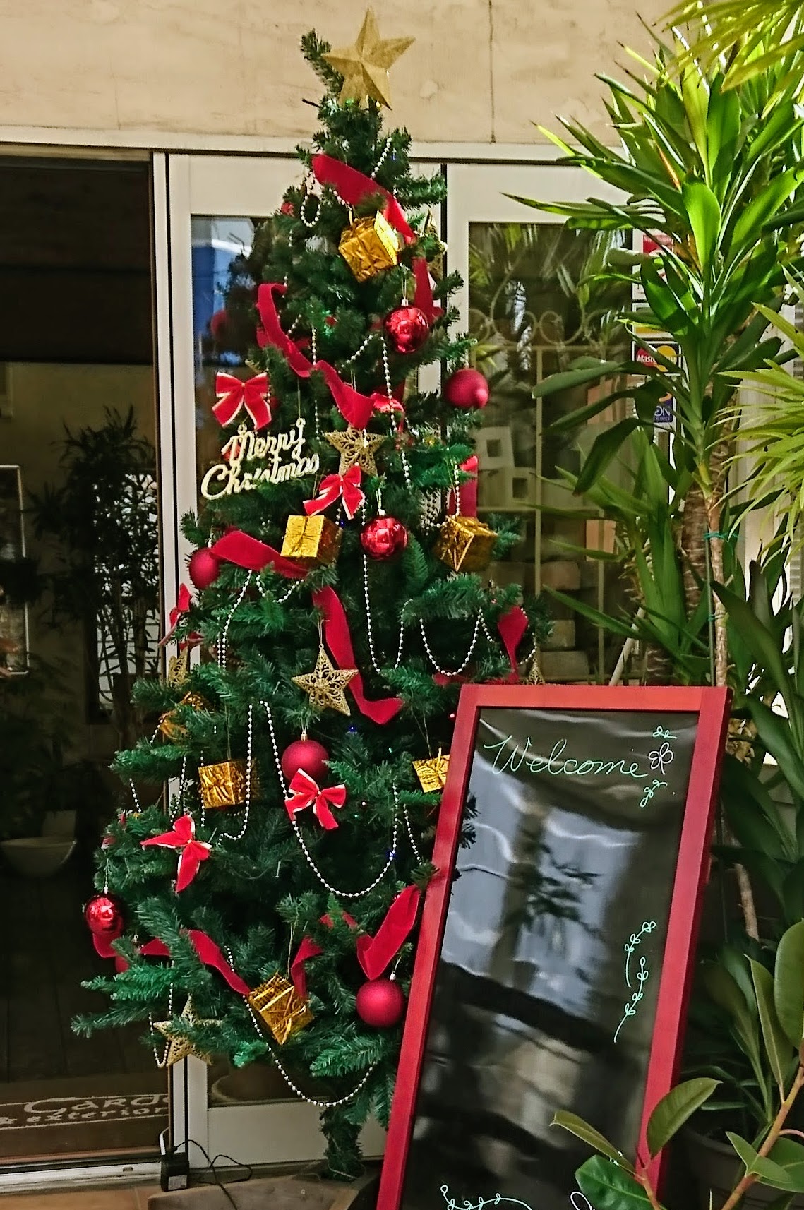 20181126_Xmastree03