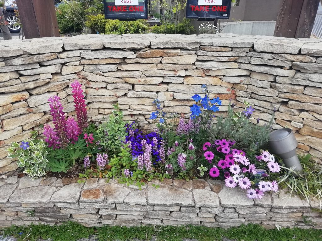 立川店花壇の花たち